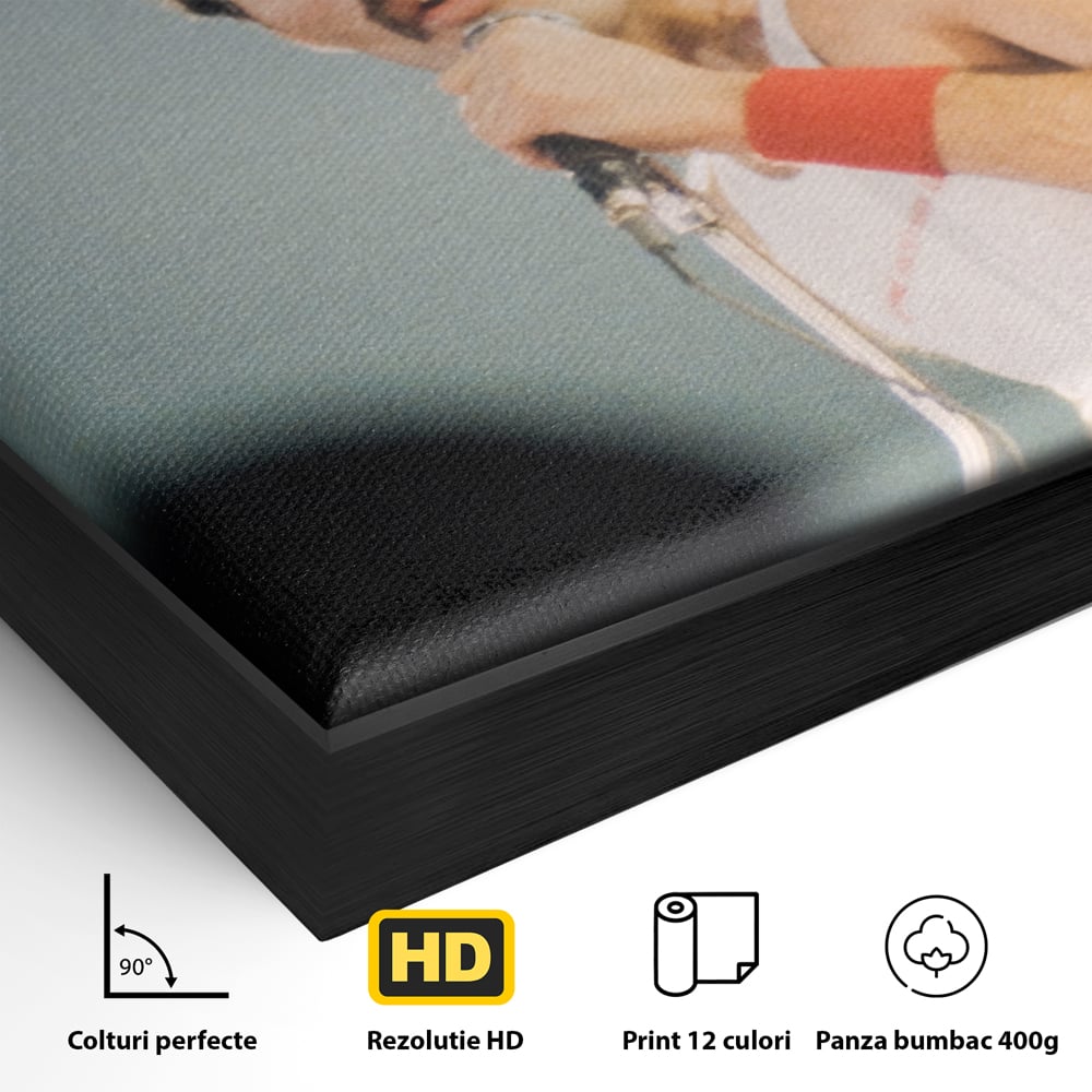 Detaliu al suprafetei: tablou canvas cu freddie mercury, in rama de aluminiu negru